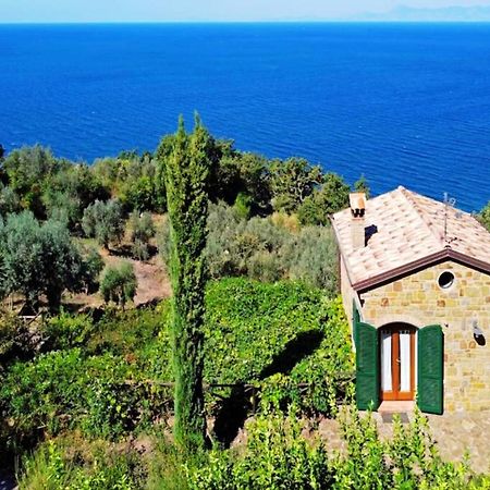 Bellezza In Cilento Panoramic Apts Castellabate Kültér fotó