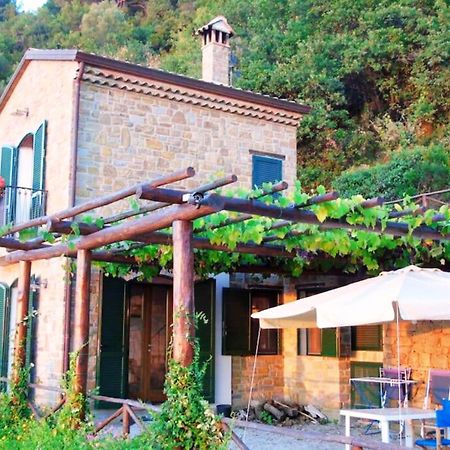Bellezza In Cilento Panoramic Apts Castellabate Kültér fotó