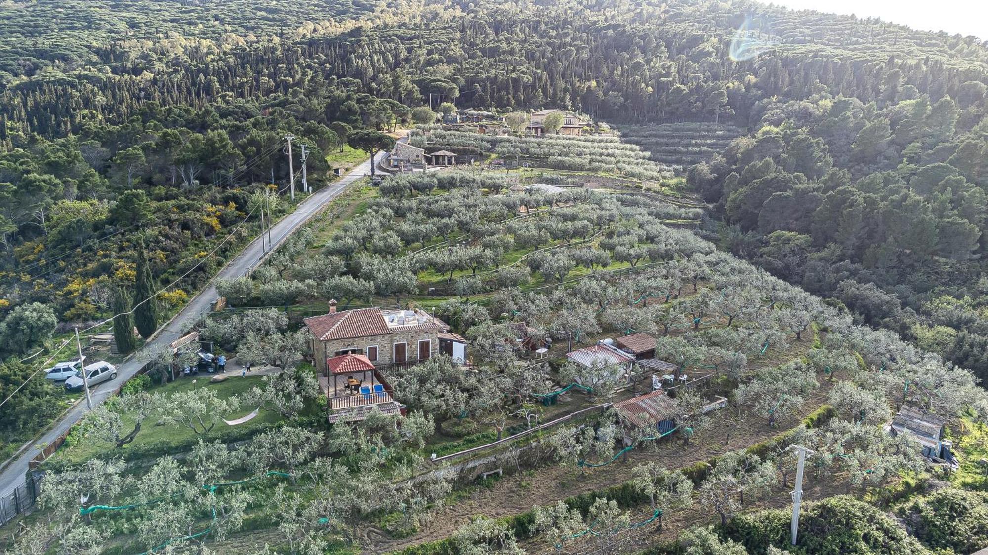 Bellezza In Cilento Panoramic Apts Castellabate Kültér fotó