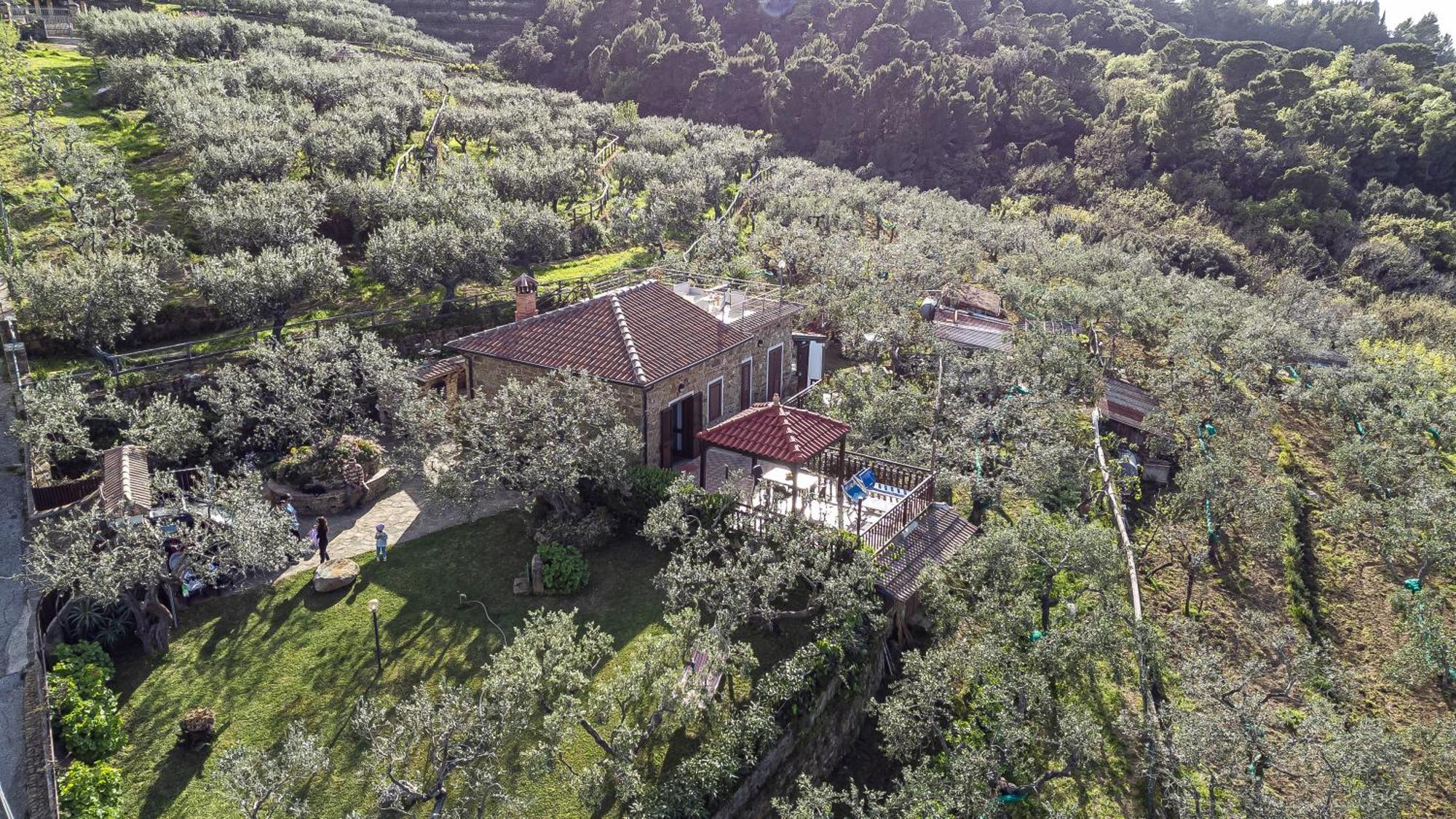 Bellezza In Cilento Panoramic Apts Castellabate Kültér fotó
