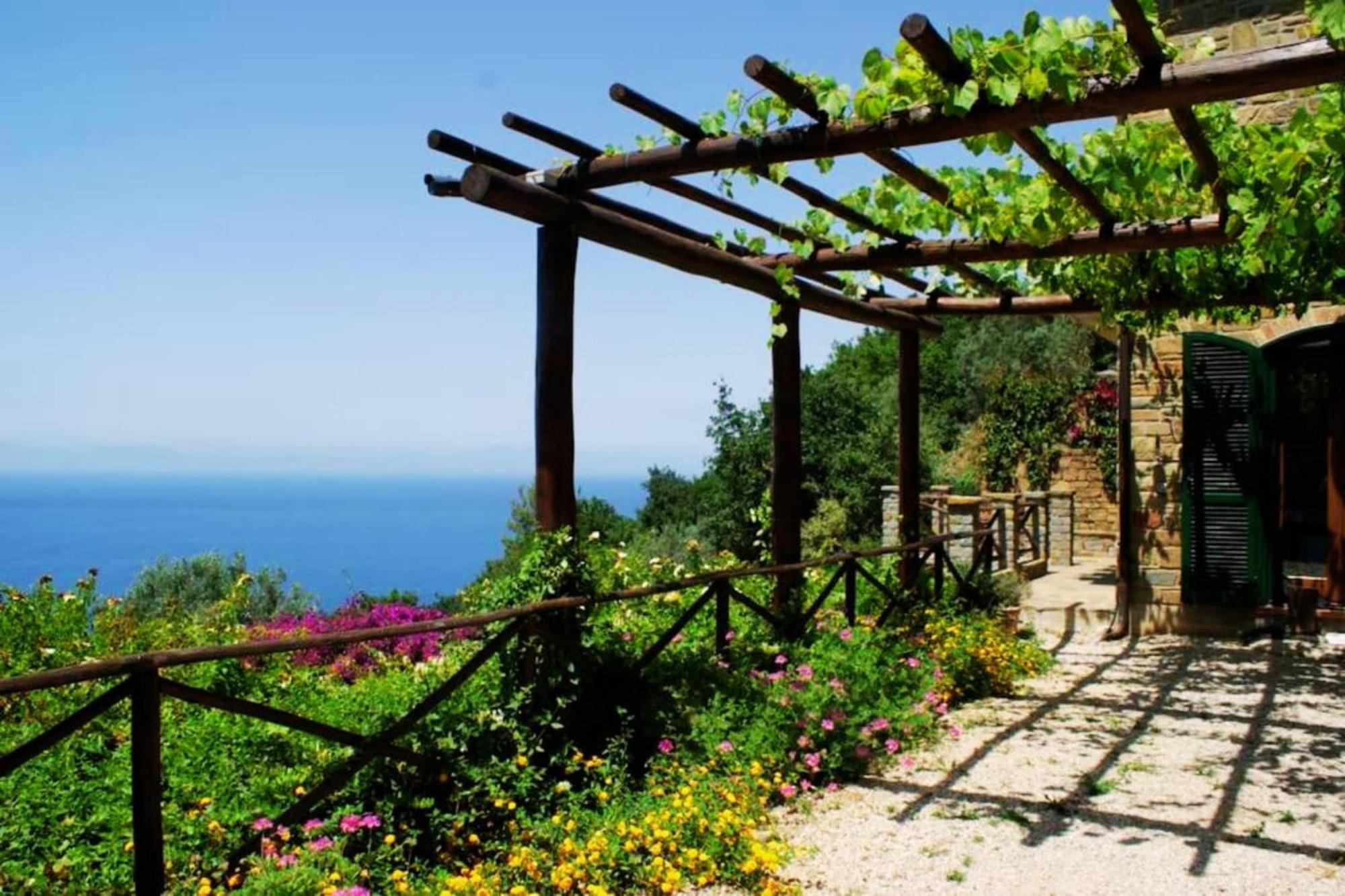 Bellezza In Cilento Panoramic Apts Castellabate Kültér fotó